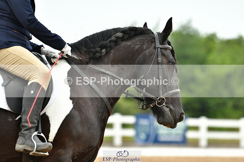 230708A-105212-02435 - Prelim 13