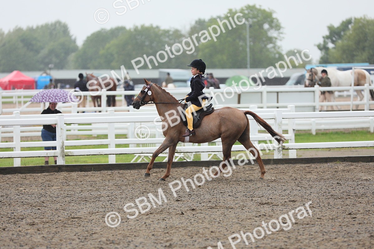 SBM_20595 - Class 804 - Ridden Veteran Pony