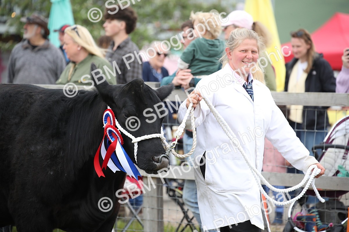 SBM_07819 - Grand Parade