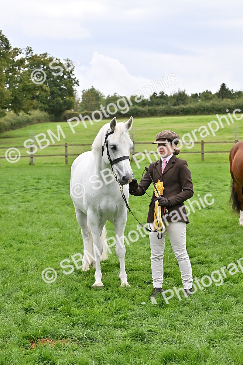 SBM_63324 - S49 - Mountain & Moorland In Hand Large Breeds