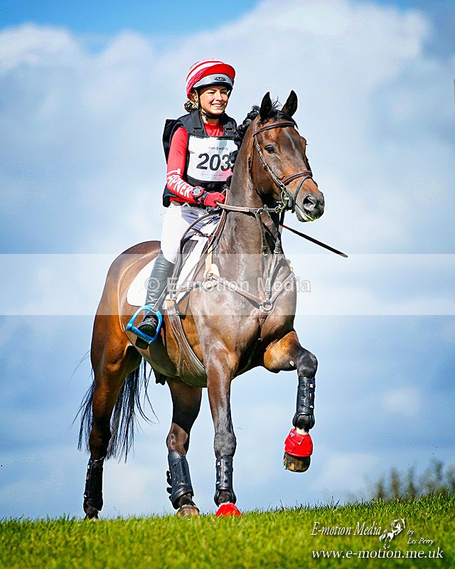 HT 050920 -2000ab - Equestrian