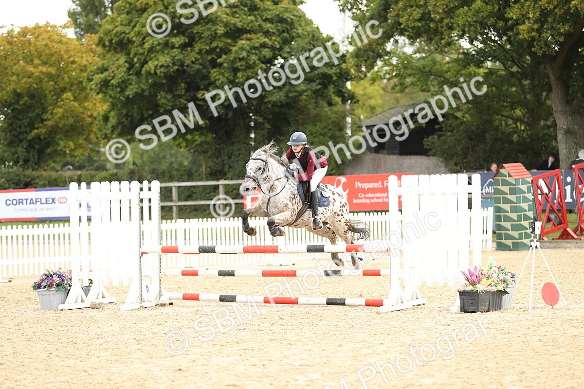 SBM_58563 - J25 - Junior Horse 80cm Championship