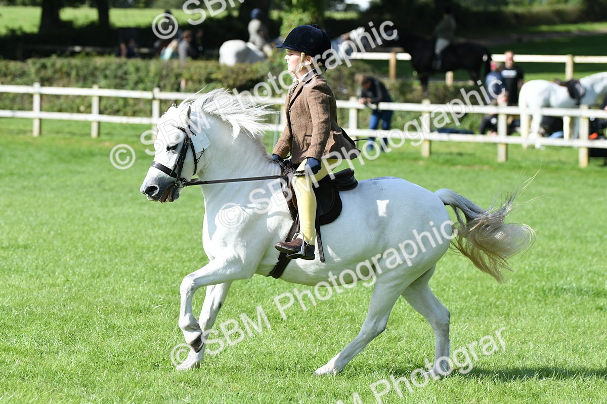 SBM_50315 - S21 - Novice & Newcomers 1st Ridden Pony