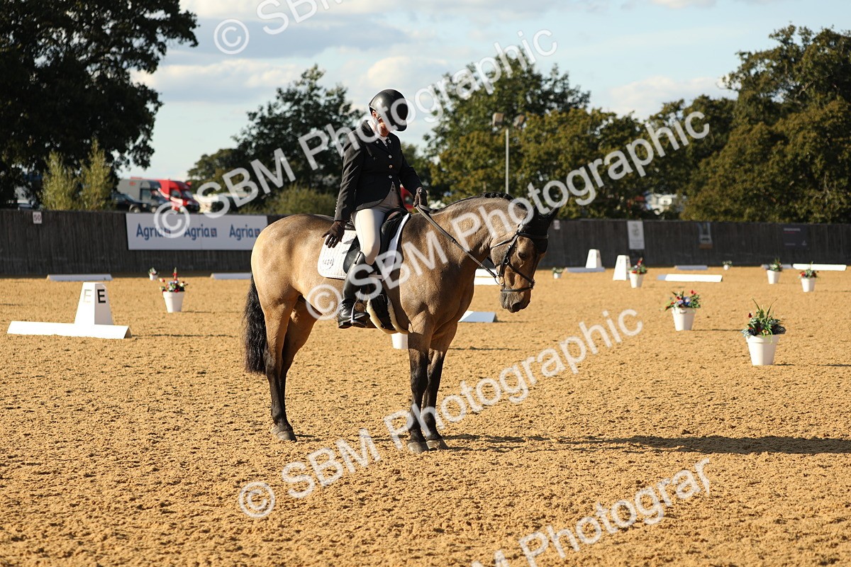 SBM_28596 - D20 - Grand Tour Championship - Elementary 44