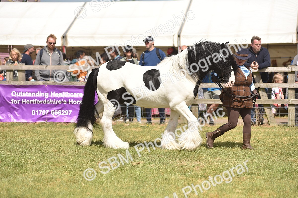 SBM_16064 - Class 117-122 - SSADL RIHS Qualifier
