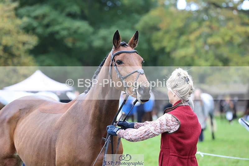 251026A-111302-25308 - F-453-Lucy.Lloyd