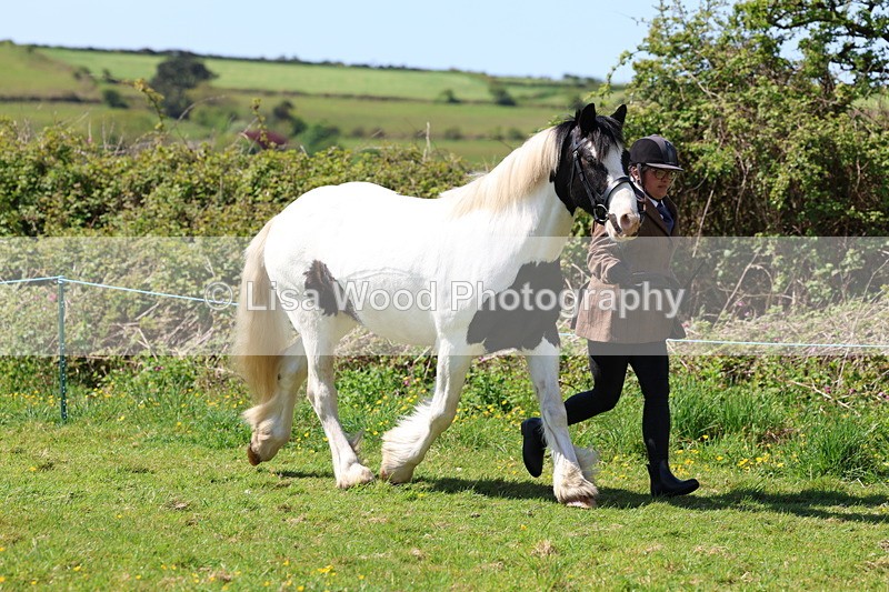 3E7A0252 - Class 19: Best Coloured in Hand