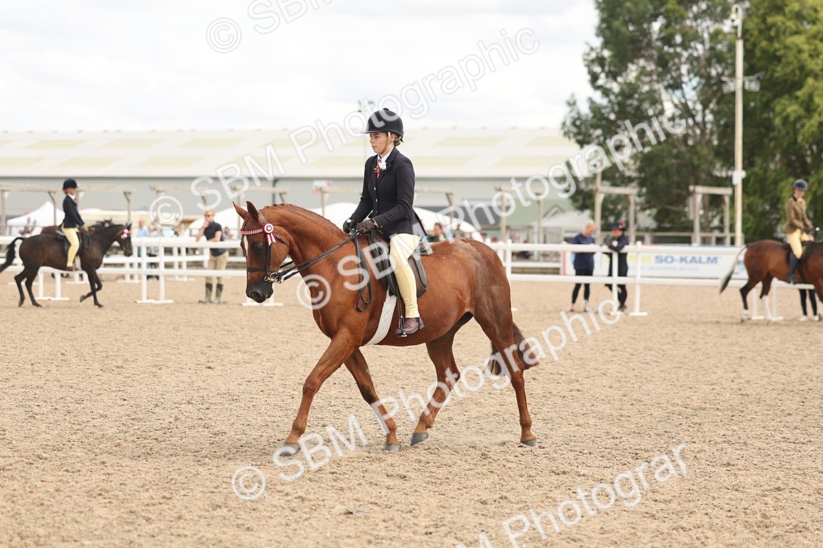 SBM_15998 - Class 311 - Ridden Show pony-Show hunter Pony