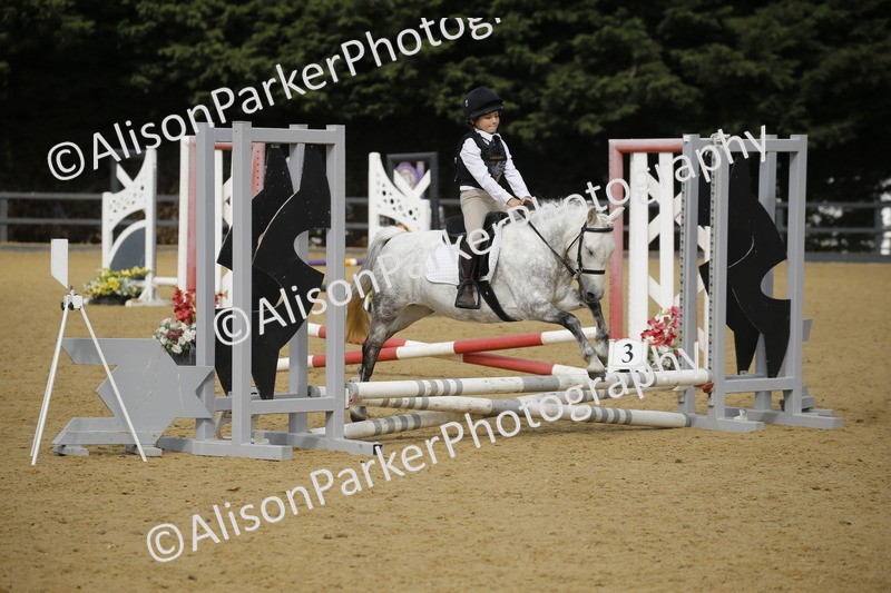 20250622-1527 - 40cm