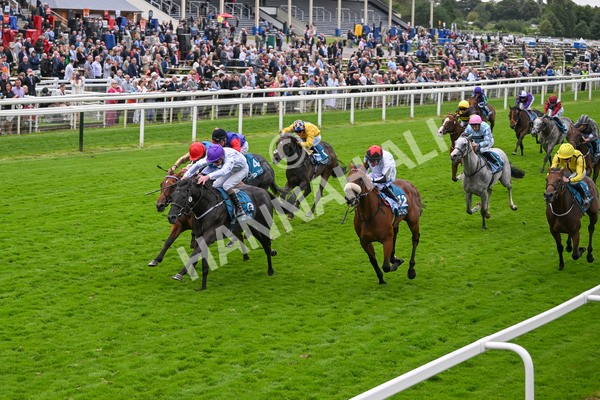 210824-Race 7-Yes Im Mali-5761 - Race 7 5.20pm Sky Bet Nursery Handicap