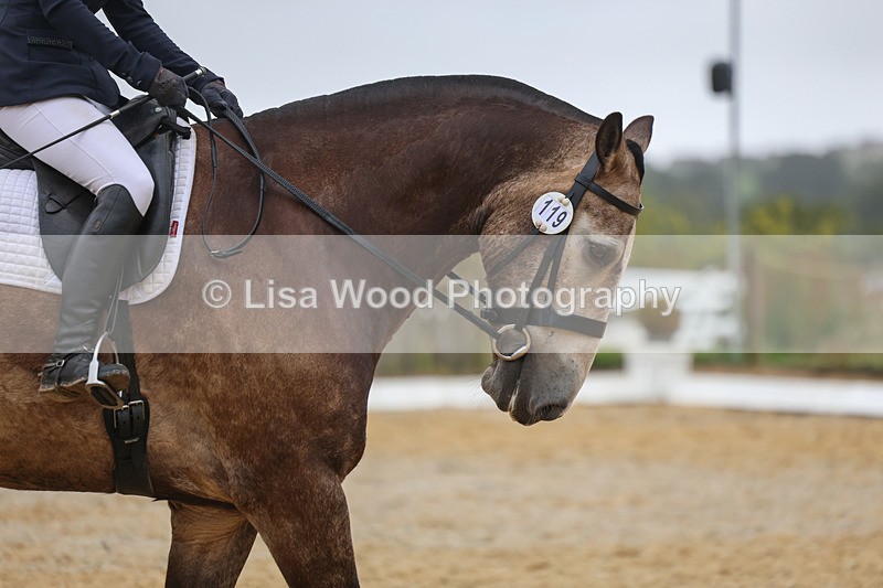 3E7A8984 - Class 3: Prelim 3 2024 - Section A