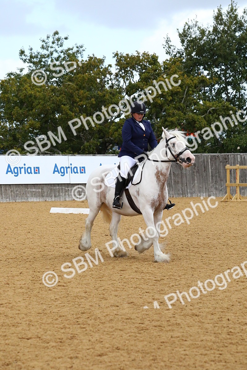 SBM_20857 - D5 - Small Tour Championshop Intro 2