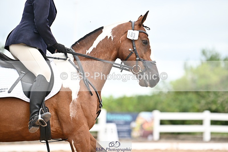 250705-175519-03832 - BRCP4 Sections BRCP4SNR, BRCP4JNR 13.50 to 14.53