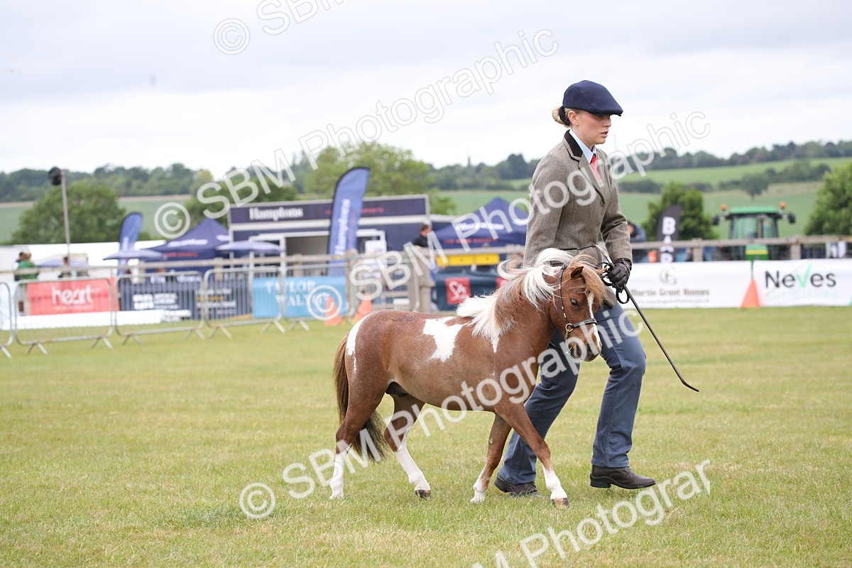 SBM_03527 - Class 23-25 - British Miniature Horse of the Year