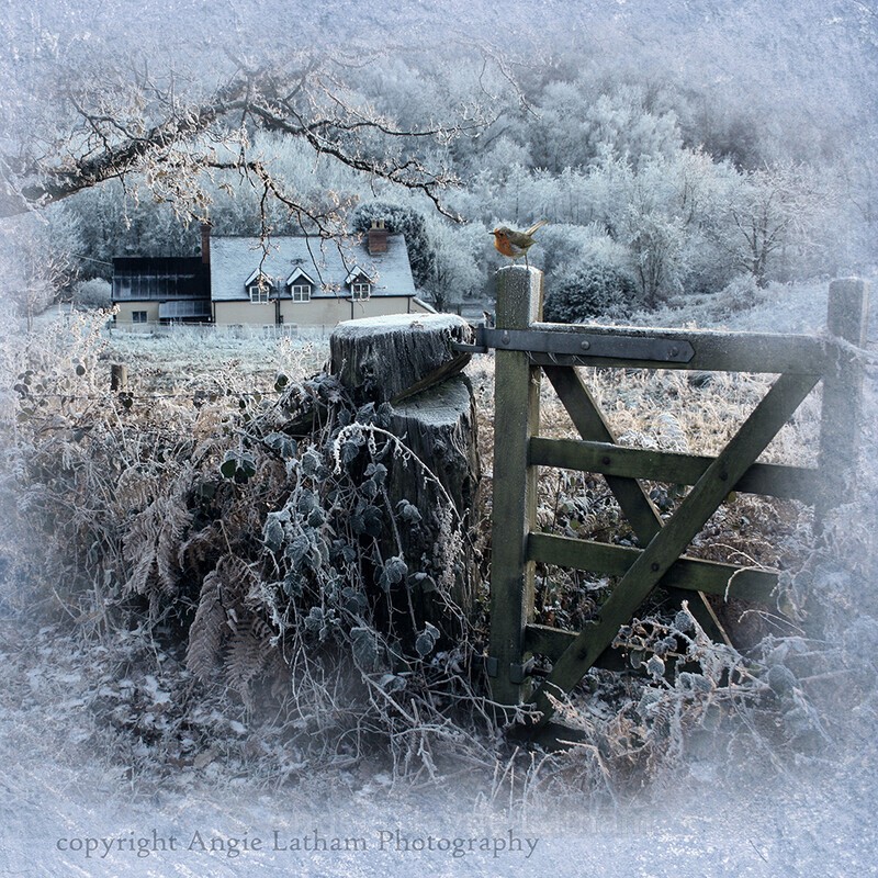  - Winter Images