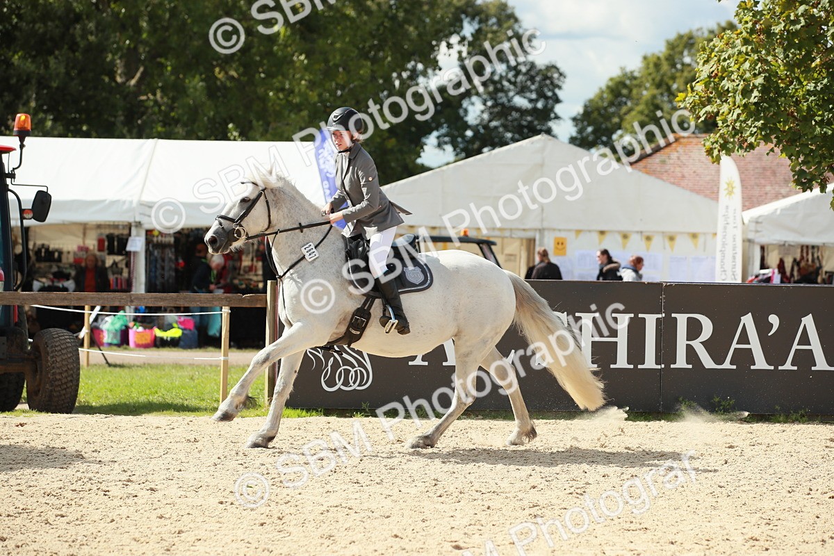 SBM_06325 - J29 Senior 65cm Championship