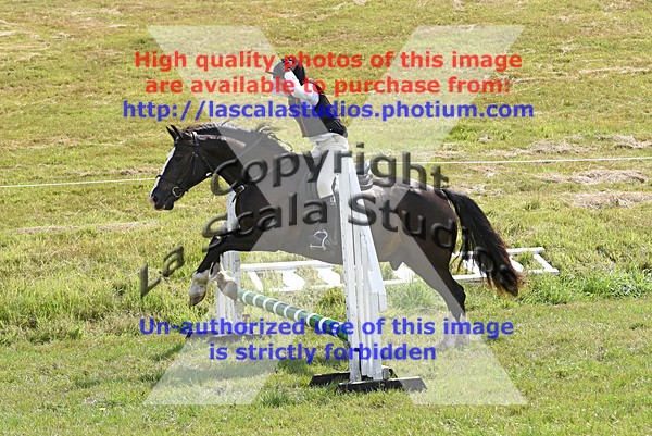 SNCP_0254 - S Group