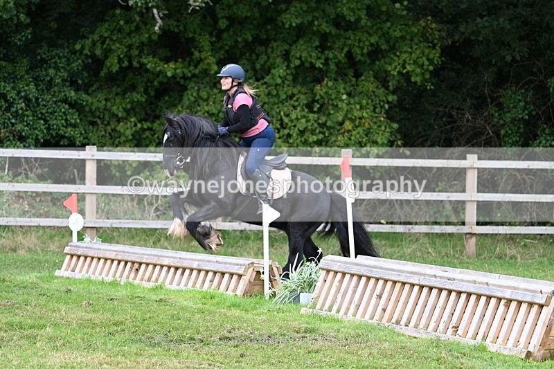 WJ7_7884 - 40cm Time 10:49 to 11:18