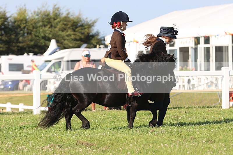 JPP_0927 - Class 16: Cornish Combination Leading Rein