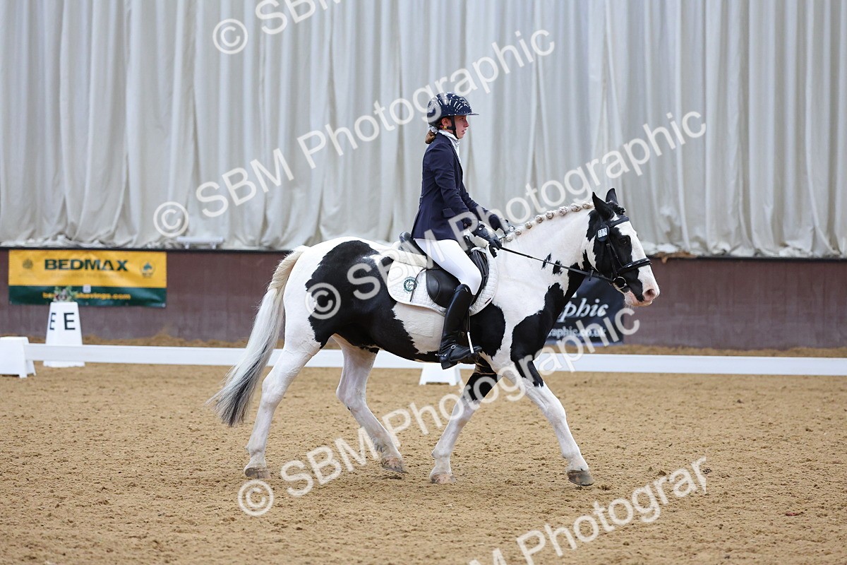 SBM_002624 - Novice