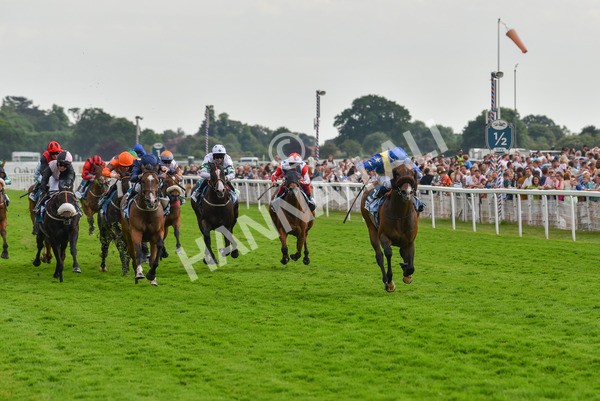 170623-Race 7-The Green Man-7495 - Race 7 5.25pm Clean Up With PPS Handicap