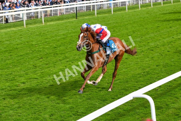 150723-Race 6-Robert Johnson-0643 - Race 6 4.55pm John Smith's Stayers' Handicap