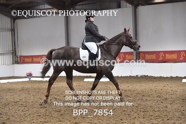 BPP_7854 - INTRO TEST 2