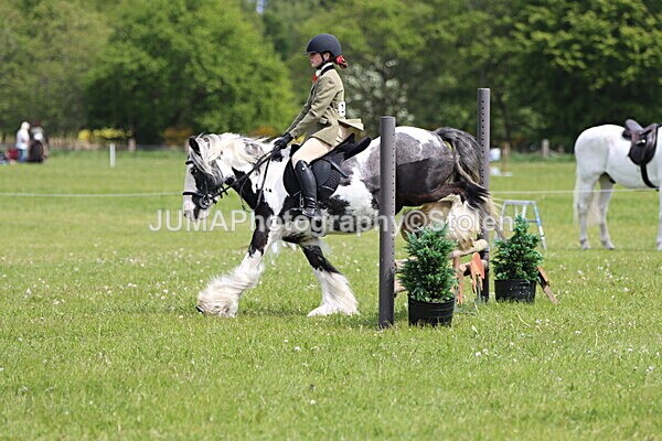 IMG_3158 - Working Hunter