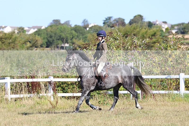 3E7A5511 - Class 3: Working Hunter 70cm