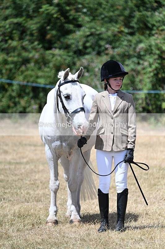 WJ7_2170 - Class 5 Most Handsome Gelding (up to 14.2hh) in hand