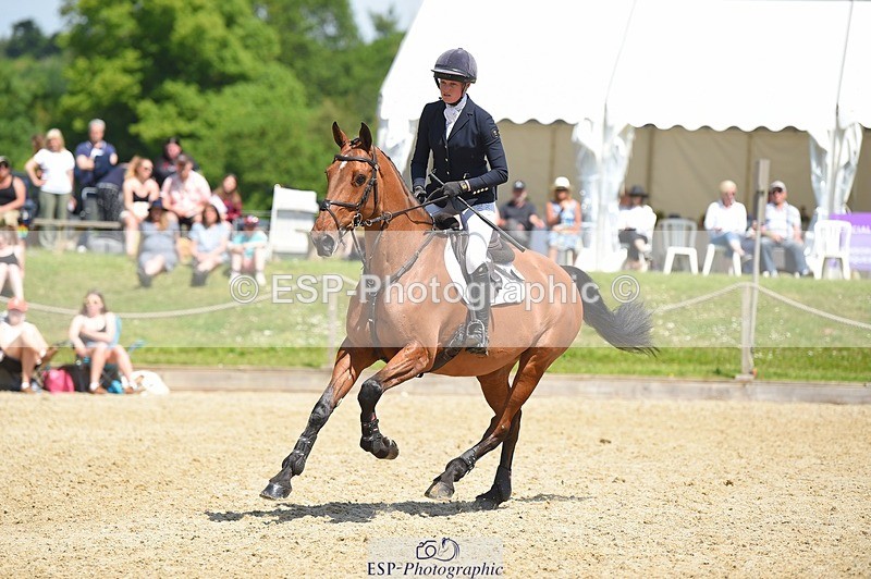 230528-114034-15316 - 327-ROMANTIC-Rosie_Fry-SUNTrotUp+SJ