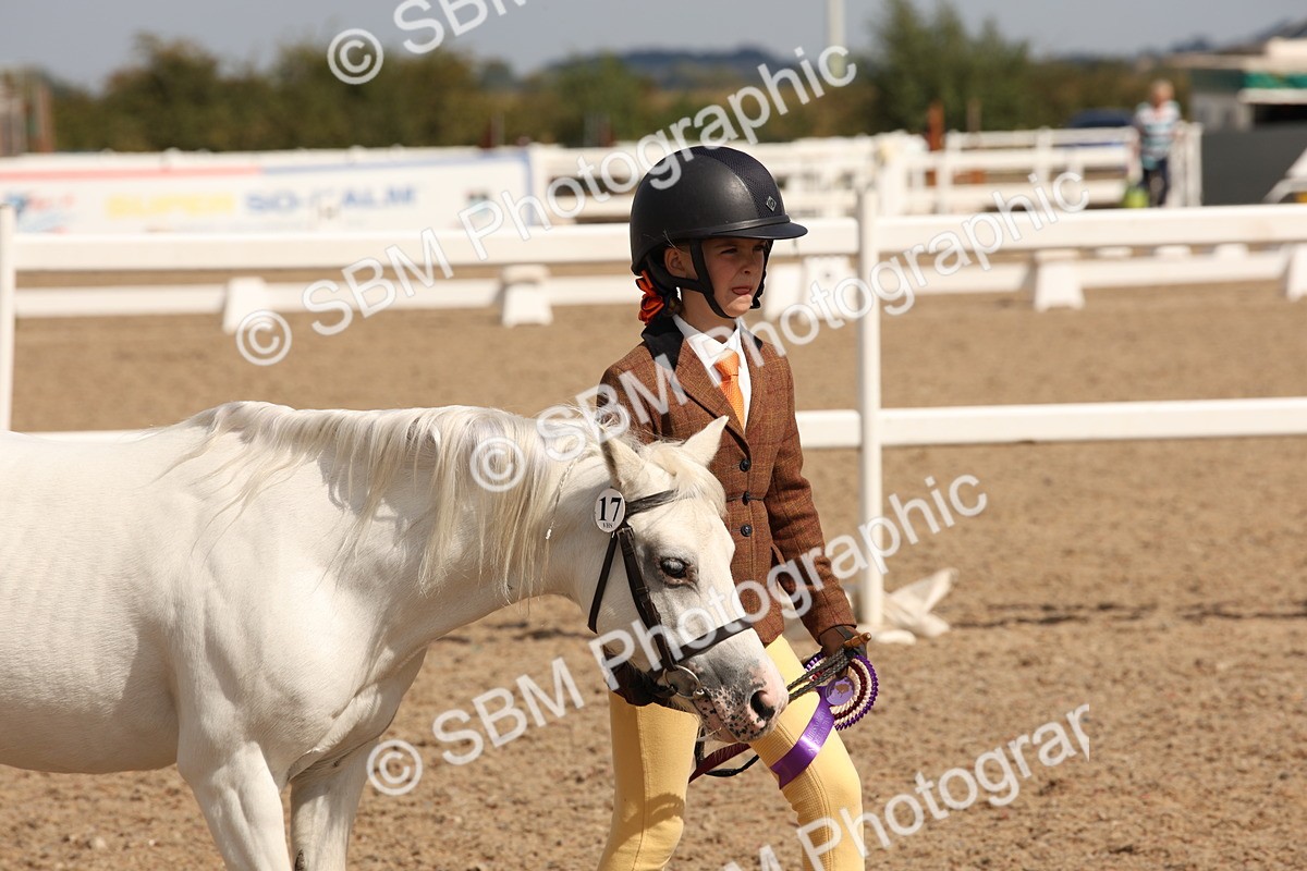 SBM_03806 - Class 19 Judge's Favourite