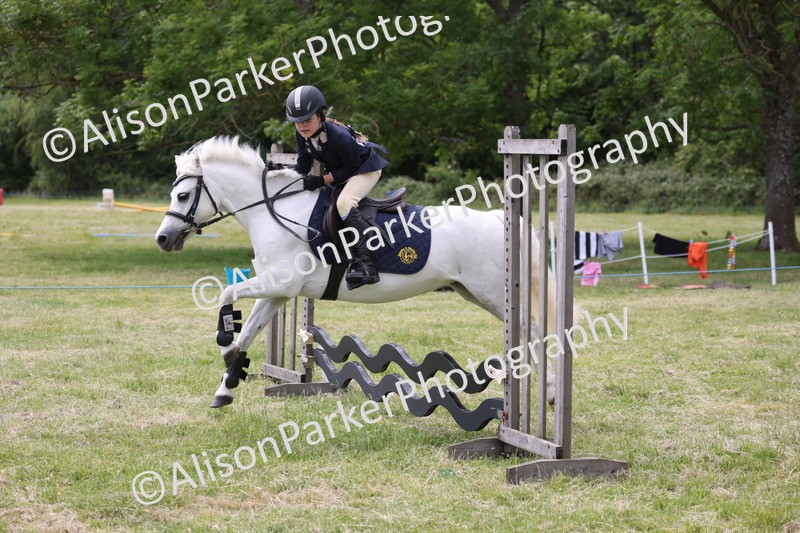 20260614-4106 - Class 24 - Mini and Major Pairs Jumping