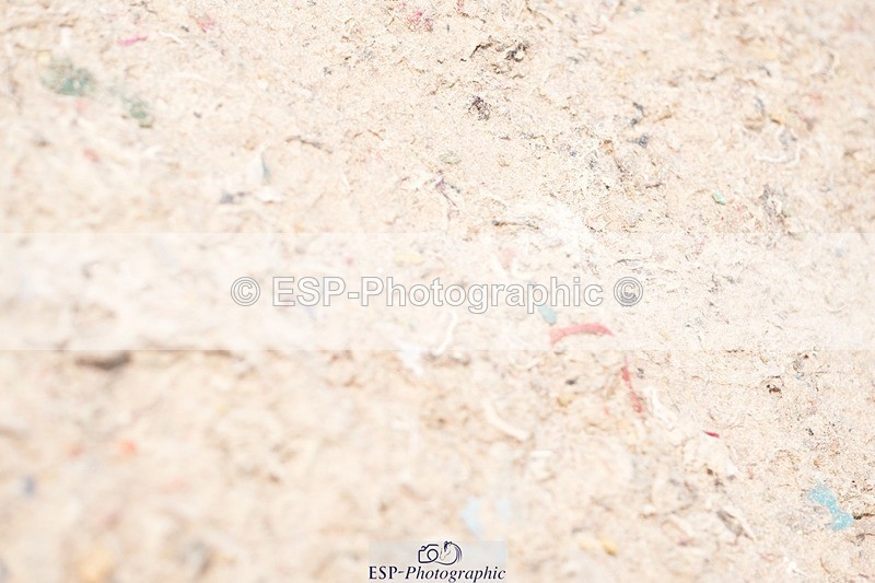 250815-134943-01332 - 1.30pm Presentations