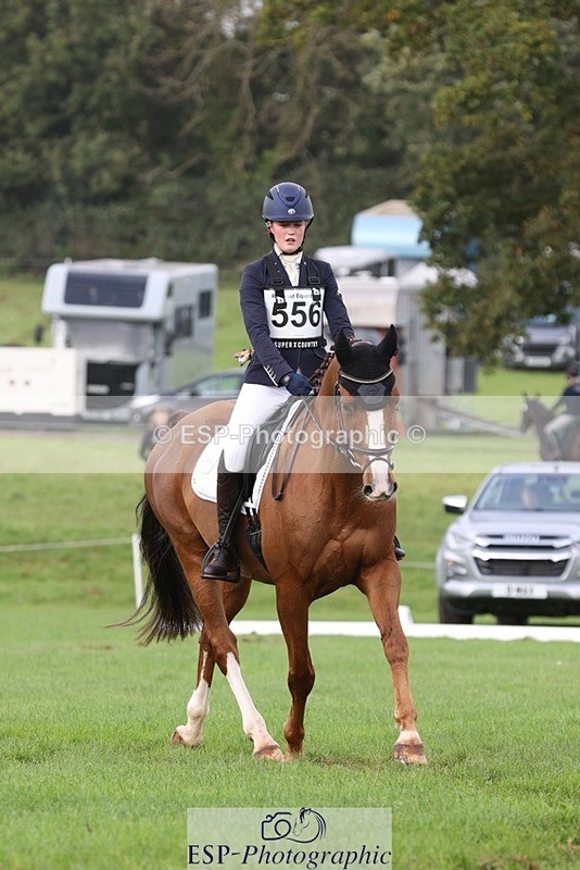 231019-153534-04926 - 556-SHANNONDALE.MOCHA-Lucy.Davies-DR