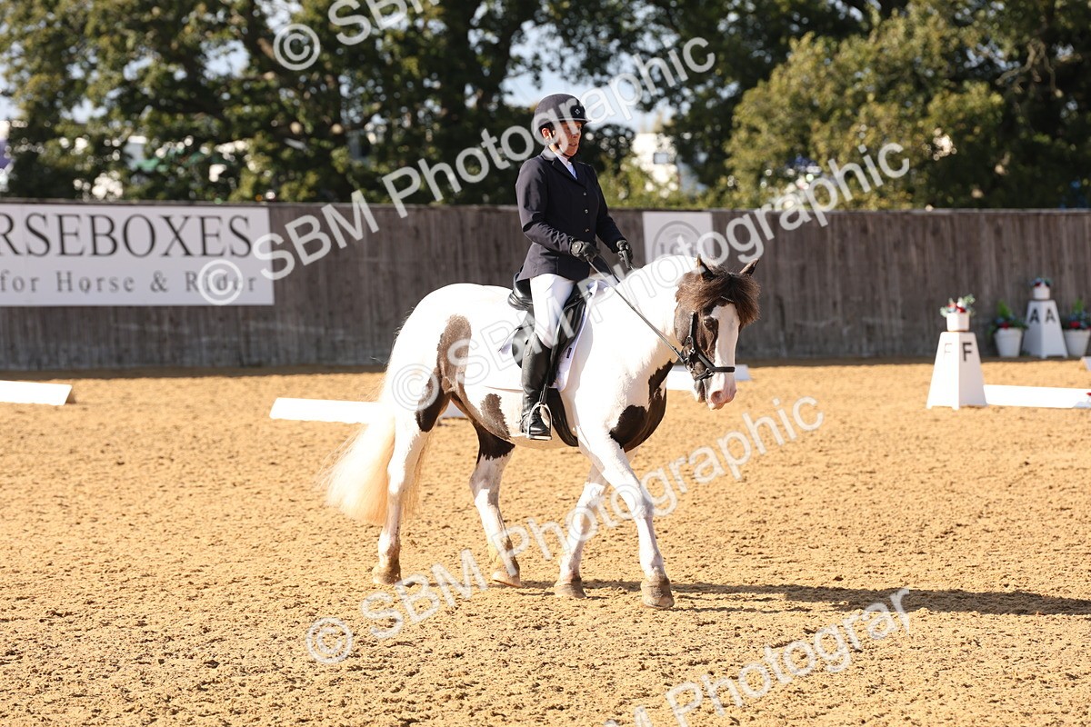 SBM_50443 - D12 - Small Tour Championship prelim 2