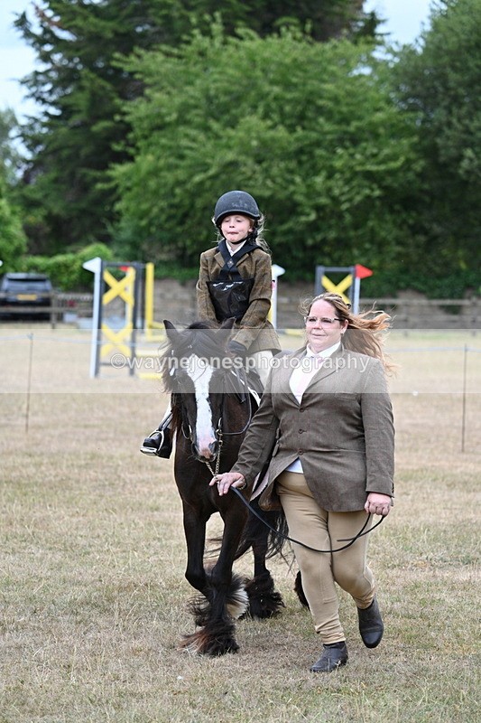 WJ7_8154 - Class 4 Prettiest Mare up to 14.2hh