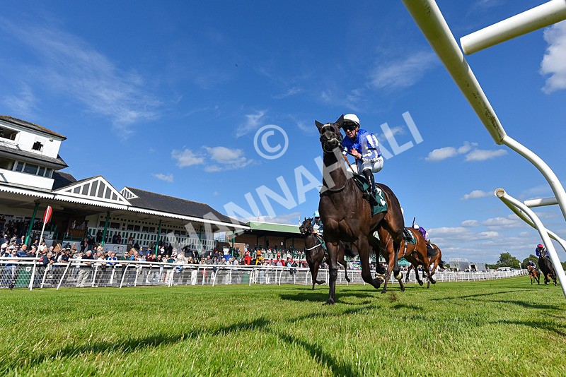 100625-Race 1-Desert Jungle-4047 - Race 1