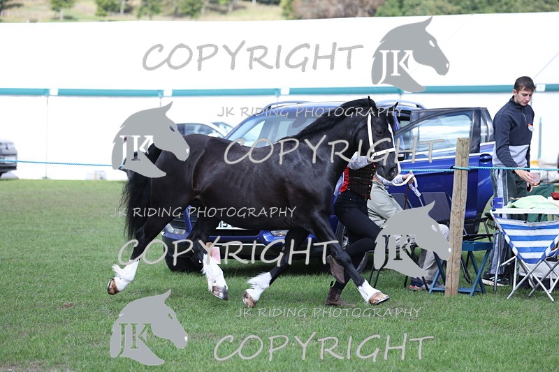 APP_2796 - Class 10a/b M&M in hand