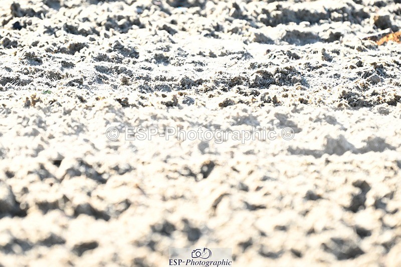 231110-104912-00218 - Cls 2 Prelim 17(a)Q