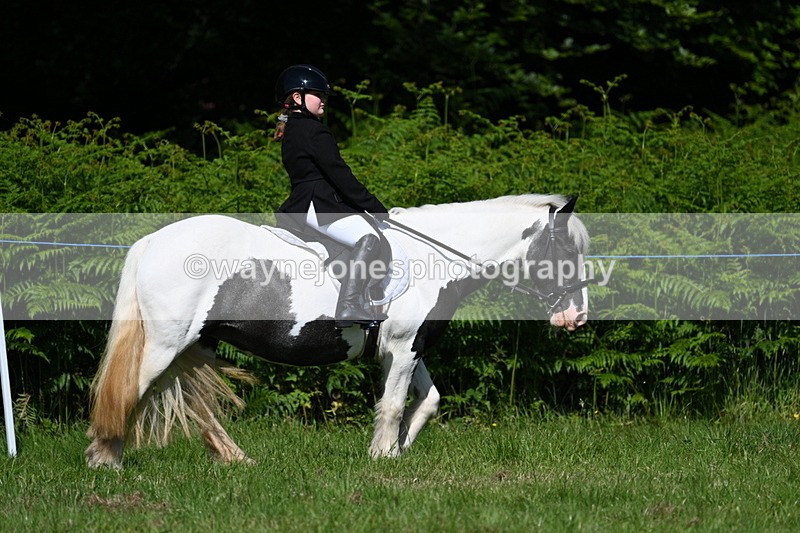 WJ7_0745 - Class 8 First Rally Pony