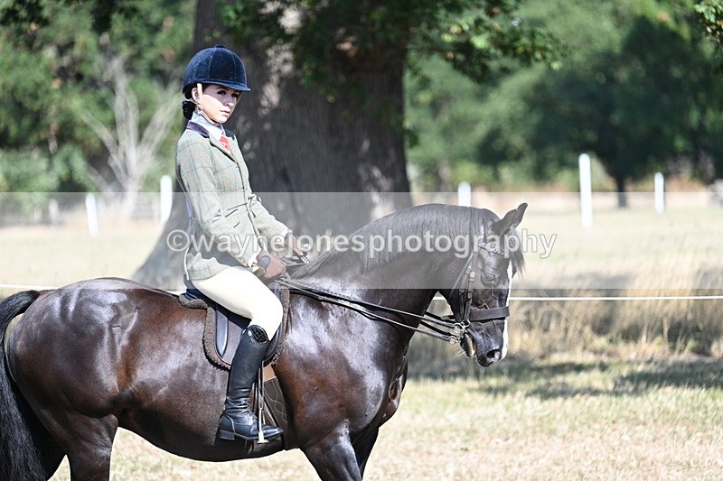 WJ7_3455 - Class 9 Mountain & Moorland Ridden