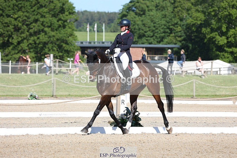 230526-094044-05129 - 357-VIVENDI_HERO-Saffron_Cresswell-WEDTrotUp+DR