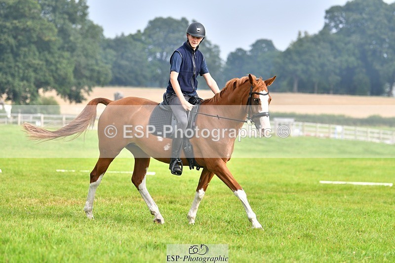 230817-091443-02508 - Abbie's 1st Group - Dressage