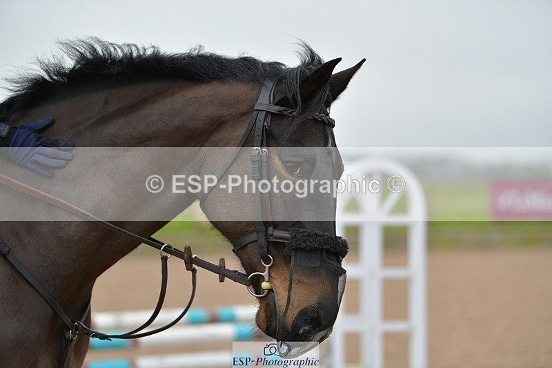 240203A-101354-00061 - 70cm