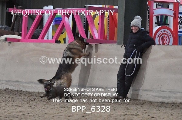 BPP_6328 - CARLA DOGS