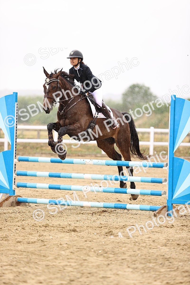 SBM_025219 - Class 9 - Senior British Novice - 90cm