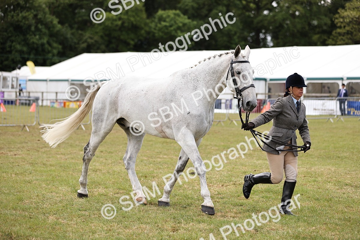 SBM_14737 - Class 88-89 - LIHS BSHA Rising Star of Ridden Hunter Type
