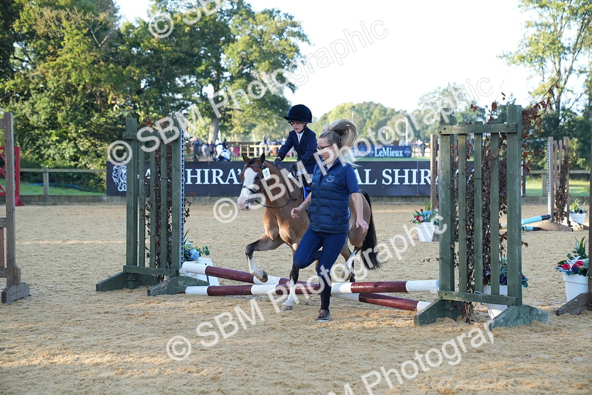 SBM_58940 - J63 - Minis Clear Round 30cm 40cm