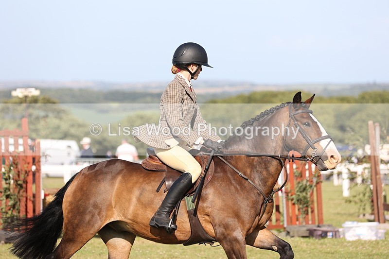 JPP_3207 - Class 21: Working Hunter 80cm